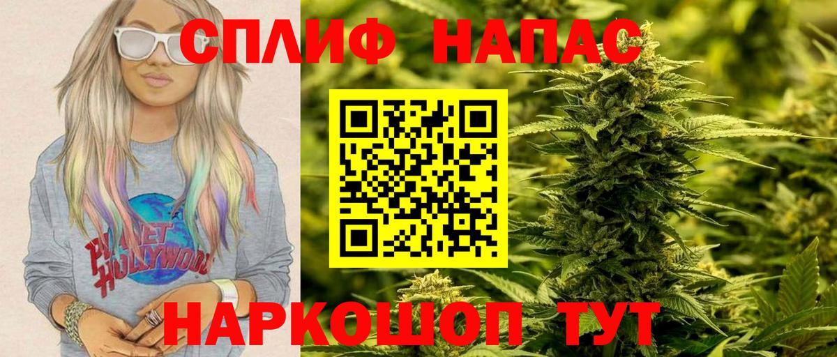 Бошки Шишки семена Обь